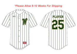 Trojan BB Team Rawlings Sublimated Full Button Jersey-150 Cloth-White/DKG Pinstripe YOUTH