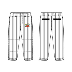 09. Barnstormer Softball Women’s Sublimated Classic Cut Softball Pant-White/Pinstripe