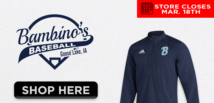 Read more about the article BAMBINO BASEBALL SPRING 2024