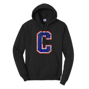 Camanche Unisex Fleece Hooded Sweatshirt-Black