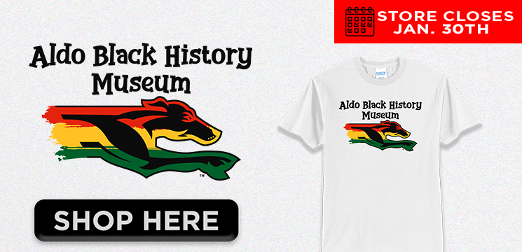 Read more about the article ALDO BLACK HISTORY MUSEUM 2025