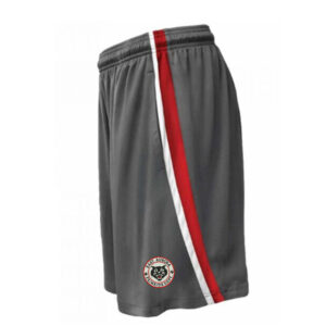 EA PE Health Drivers Ed Pennant Club Short Men-Graphite Red