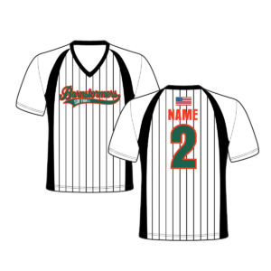 05. Barnstormers Softball Women’s Sublimated V-Neck SS Jersey-White/Pinstripe