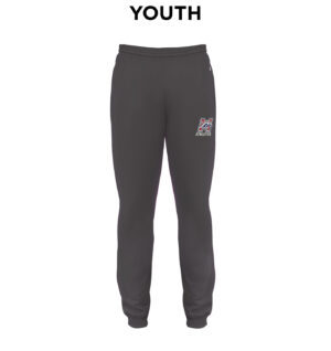 Morrison Badger tech fleece YOUTH jogger pant w/rib cuff bottom (sweatpant)-Graphite