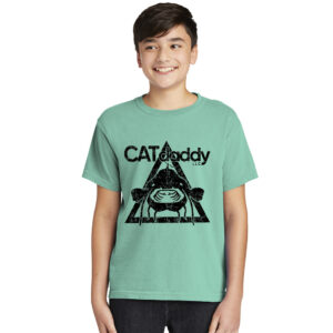 CATdaddy LLC Distressed Print Youth Comfort Colors Heavyweight Ring Spun Tee-Chalky Mint