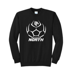 DN Soccer Unisex Fleece Crewneck Sweatshirt-Black