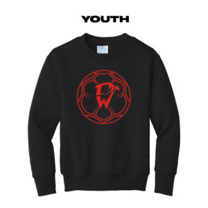 DW Soccer Youth Fleece Crewneck Sweatshirt-Black