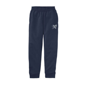 PV Xplosion Youth Core Fleece Jogger-navy