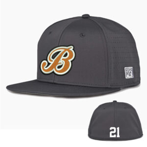 Barnstormer BB The Game Low Pro Perforated GameChanger Cap – Graphite