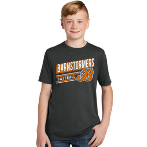 Barnstormer BB Youth Premium Short Sleeve Tee-Black Frost
