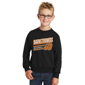 Barnstormer BB Youth Fleece Crewneck Sweatshirt-Black