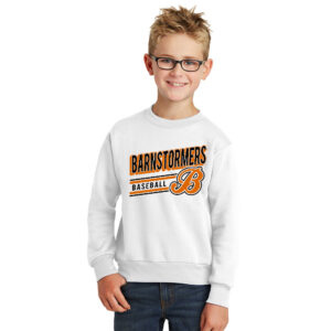 Barnstormer BB Youth Fleece Crewneck Sweatshirt-White