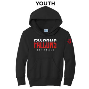 DW Softball Youth Fleece Hooded Sweatshirt-Black