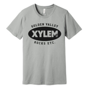 Xylem Bella and Canvas Unisex combed and ring spun cotton T-Shirt-Silver