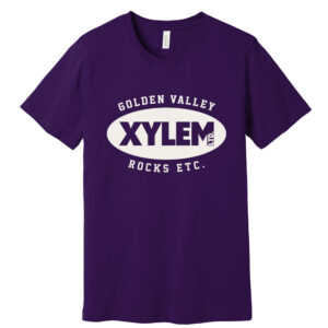 Xylem Bella and Canvas Unisex combed and ring spun cotton T-Shirt-Team Purple