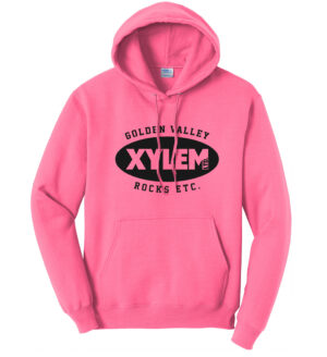 Xylem Unisex Classic Core weight Cozy Pullover Hooded Sweatshirt-Neon Pink