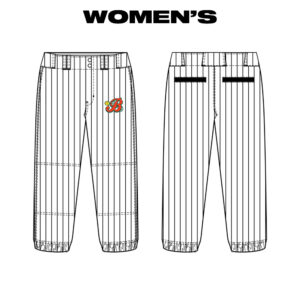 09. Barnstormer Softball Women’s Sublimated Classic Cut Softball Pant-White/Pinstripe