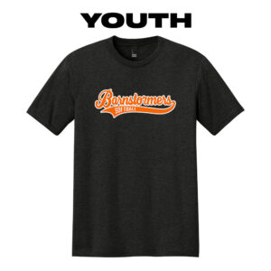 21. Barnstormers Softball Youth Triblend Short Sleeve Tee-Black Frost