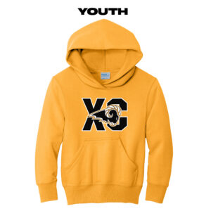 Southeast Polk CC Youth Fleece Hooded Sweatshirt-Gold
