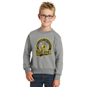 Borlaug Elementary Youth Fleece Crewneck Sweatshirt-Athletic heather
