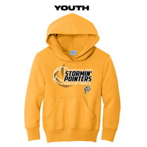 CPU Volleyball Youth Fleece Hooded Sweatshirt-Gold