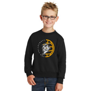 CPU Volleyball Youth Fleece Crewneck Sweatshirt-Black