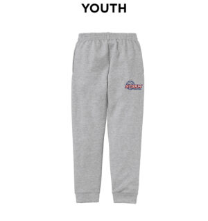 Camanche Volleyball Youth Core Fleece Jogger-Athletic Heeather