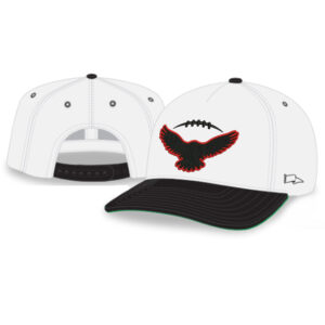 DW Football Rah-Rah 5-Panel Chino Twill Snapack Cap-White/Black/Green Underbill
