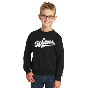 NW Athletics Youth Basic Crewneck Sweatshirt-Black