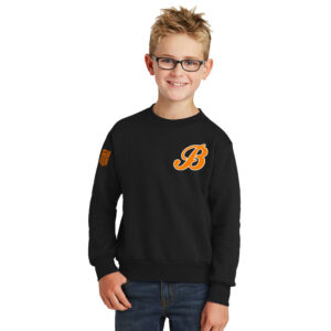 Barnstormers Youth Fleece Crewneck Sweatshirt-Black