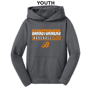 Barnstormers Sport Tek Youth Sport Wick Fleece Hooded Sweatshirt-Dark Smoke Grey