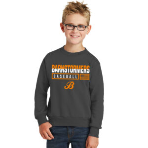 Barnstormers Youth Fleece Crewneck Sweatshirt-Charcoal