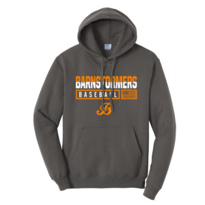 Barnstormers Unisex Fleece Hooded Sweatshirt-Charcoal