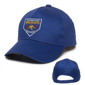 DW 10u Baseball Outdoor Cap YOUTH Adjustable Cap-Royal