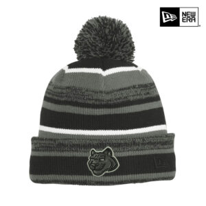 Hermes Elementary New Era Sideline Beanie stocking cap-Black/Graphite