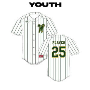 09. Trojans Rawlings YOUTH Sublimated Full Button Jersey-White Pinstripe