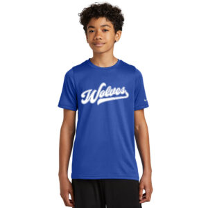 Northwest Nike Youth Swoosh Sleeve rLegend Tee-Game Royal