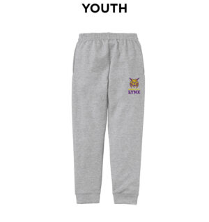 Webster City Lynx Youth Fleece Jogger-Athletic Heather