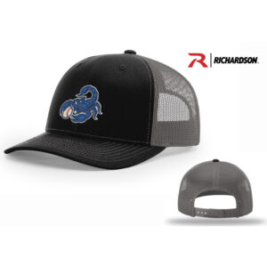Ankeny Scorpions BB Richardson Pro Crown Mesh Back Adjustable back cap Split-Black/charcoal
