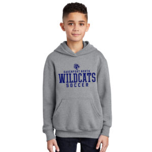 DN Soccer Youth Fleece Hooded Sweatshirt-Atheltic heather