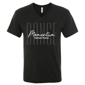 MDF Next Level Adult Triblend V-Neck Short Sleeve Tee-Vintage Black