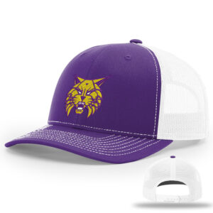 Webster City Lynx Richardson Pro Crown Mesh Back Adjustable back cap Split-Purple/White