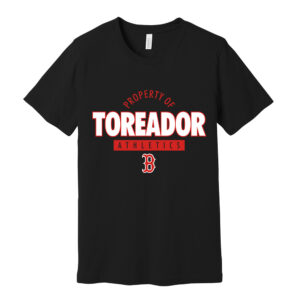 Boone BB Bella Canvas Unisex Heather CVC Short Sleeve Tee-Solid Black Blend