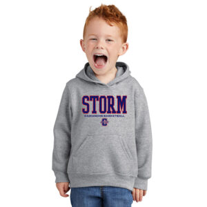 Camanche BB Toddler Pullover Hooded Sweatshirt-Athletic heather