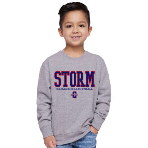 Camanche BB Rabbit Skins Toddler Juvy Crewneck Sweatshirt-Heather