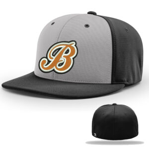 Barnstormers Lightning Richardson ProModel Pulse FlexFit Cap Alternate-Grey/Black
