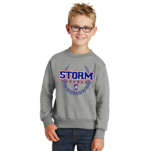 Storm BB Youth Fleece Crewneck Sweatshirt-Athletic Heather