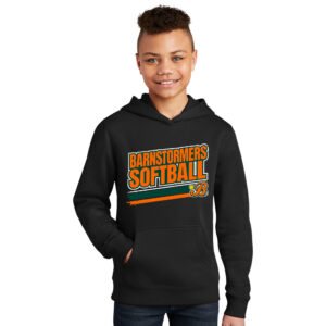 Barnstormers SB District YOUTH V.I.T. Fleece Hoodie-Black