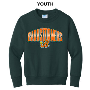 Barnstormers SB Youth Fleece Crewneck Sweatshirt-Dark Green