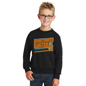 Barnstormers SB Youth Fleece Crewneck Sweatshirt-Black